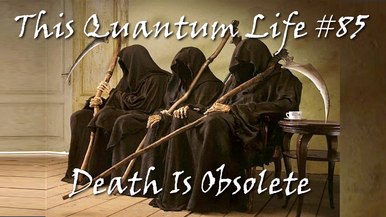 This Quantum Life #85 - Death Is Obsolete