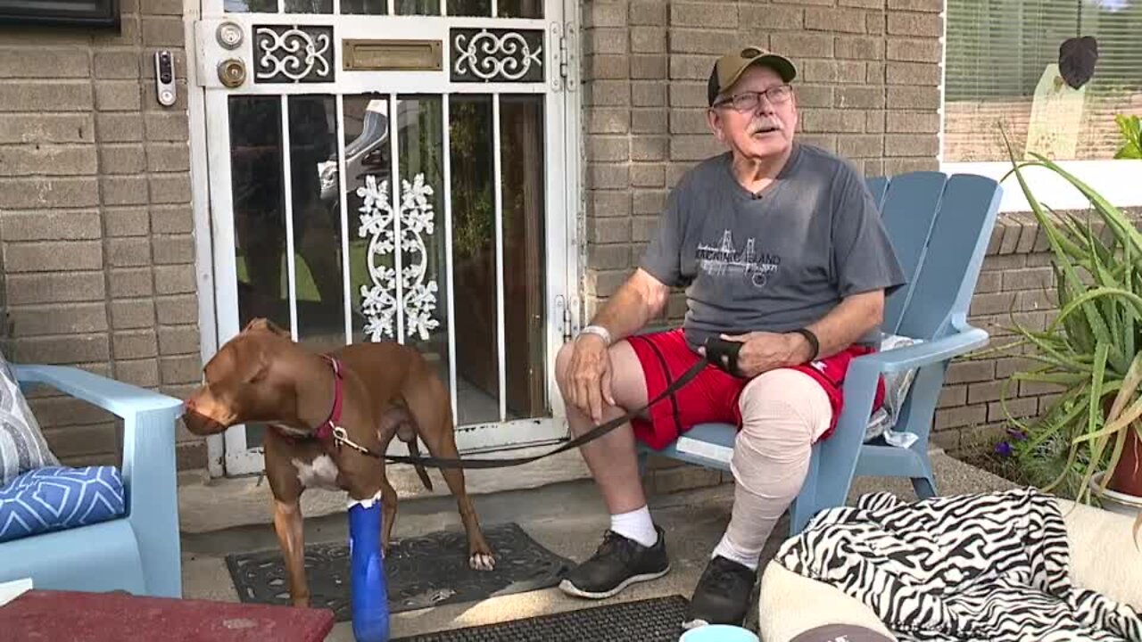 Survivor of Detroit random shooting thanks neighbors for saving his life