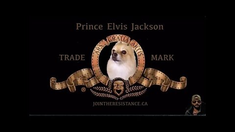 Pomeranian Birthday Boy - Prince Elvis Jackson