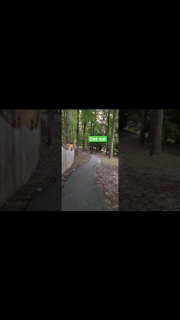 Morning Zen Get out early and take a walk #shorts