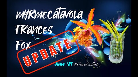 Myrmecatavola Frances Fox UPDATE | Fusarium UPDATE #CareCollab