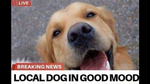 BEST NEWS IN YEARS (JK WE GAMING)