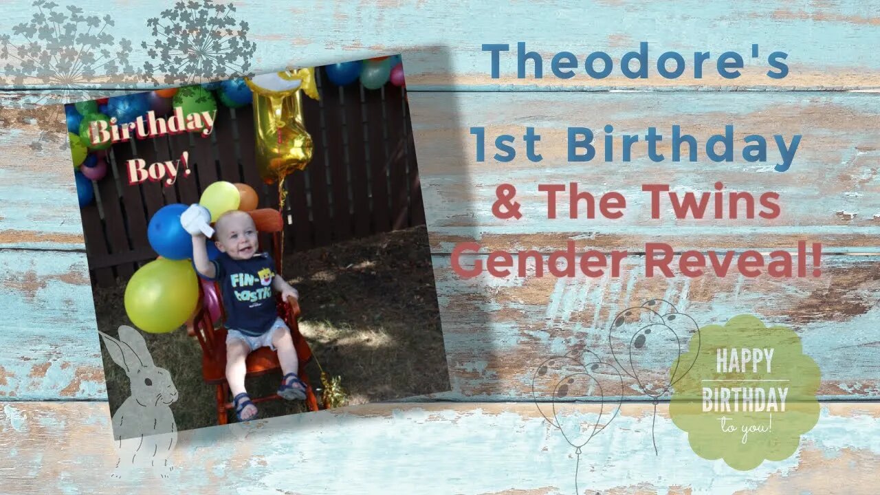 Theodore 1st birthday & Twins GENDER REVEAL