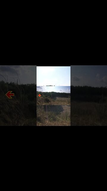 You gotta see this !!!!