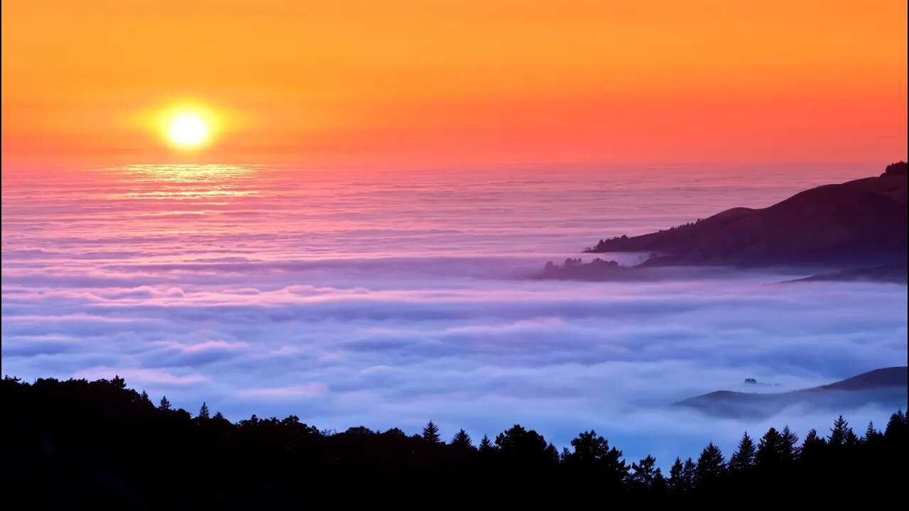 GTA 5 with Friends - Birthday Hype Stream