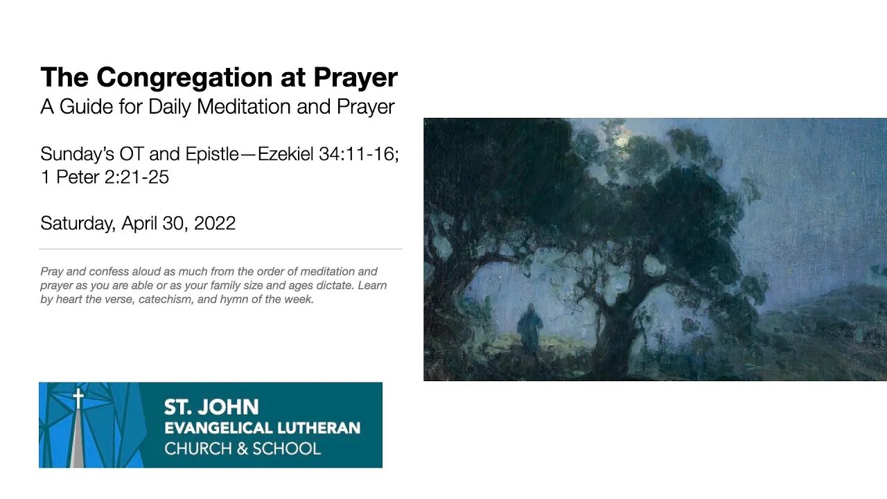 Sunday’s OT and Epistle—Ezekiel 34:11-16; 1 Peter 2:21-25
