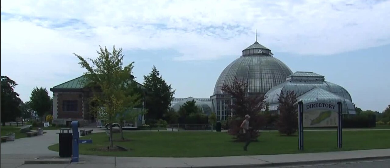 A Detroit Gem: Belle Isle's Anna Whitcomb Conservatory raising funds for upgrades