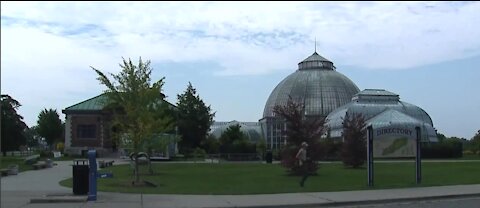 A Detroit Gem: Belle Isle's Anna Whitcomb Conservatory raising funds for upgrades