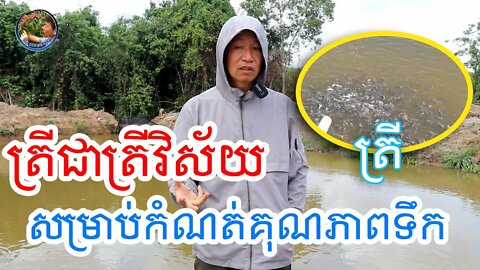 ត្រីជាត្រីវិស័យ សម្រាប់កំណត់គុណភាពទឹក