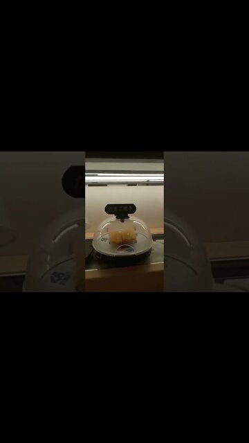 Walking in Japan Foods #shorts #viral