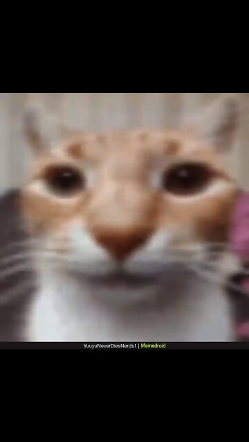 when u find out its christmas