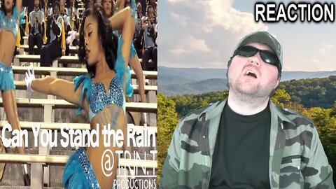 Can You Stand The Rain - Southern University Band & Dancing Dolls (2014) REACTION!!! (BBT)