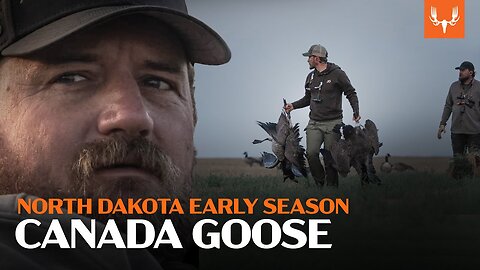 North Dakota Goose Hunting | Flying V Waterfowl