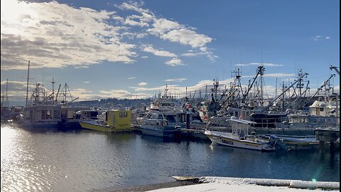 Snow Day On the Island