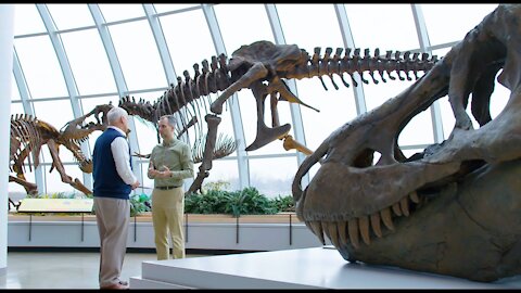 Do Dinosaurs Show Evidence of Design? - Dr. Marcus Ross