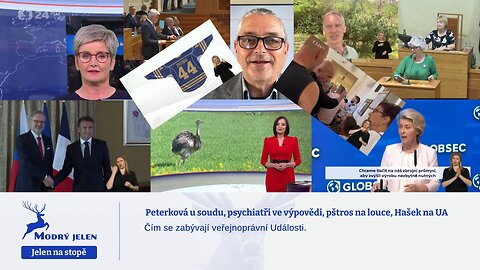 Peterková u soudu, psychiatři ve výpovědi, pštros na louce, Hašek na UA