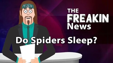 Researchers Use Cameras To Find Out If Spider Sleep Patterns Resemble Humans