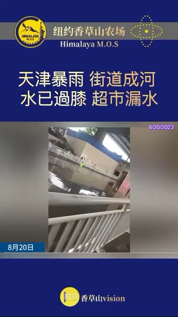 #HeavyRainfall #InTianjinCommunistChina #StreetsBecomeRivers 中共國天津市暴雨，街道成河、水已過膝、超市漏水。