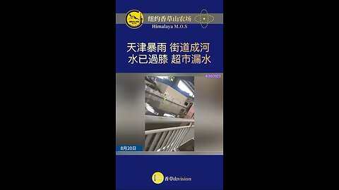 #HeavyRainfall #InTianjinCommunistChina #StreetsBecomeRivers 中共國天津市暴雨，街道成河、水已過膝、超市漏水。
