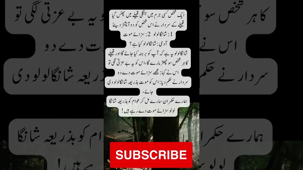 shanga lulu | interesting facts | funny quotes | joke in Urdu