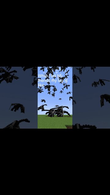 Lag In Minecraft Be Like