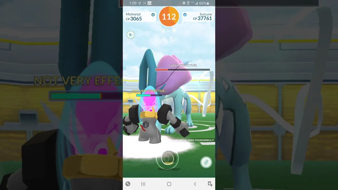 Pokemon Go - Level 5 Raid - Suicune 2/6/2021 Wellington, New Zealand