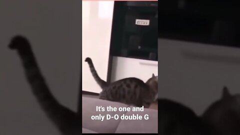 It's the one and only D-O double G #shorts