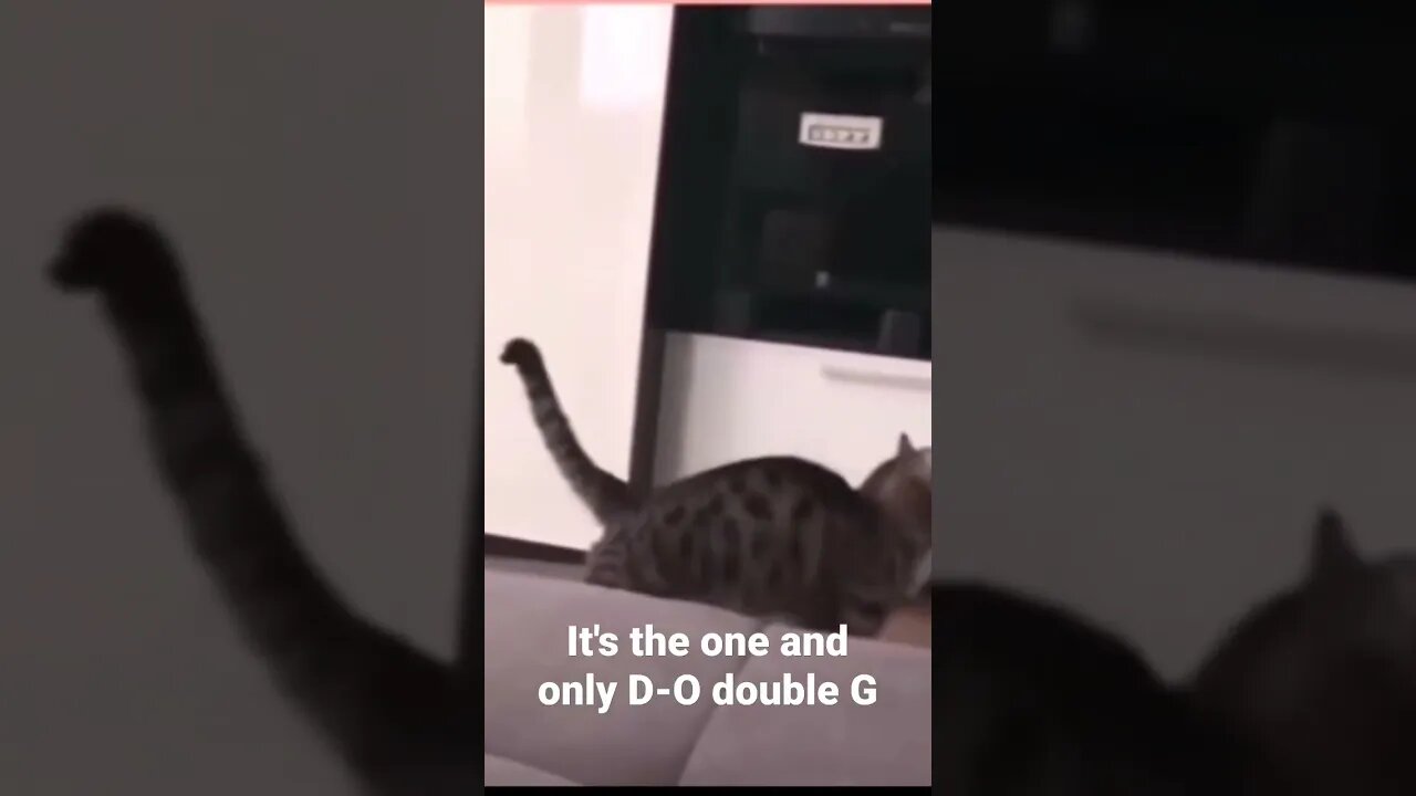 It's the one and only D-O double G #shorts