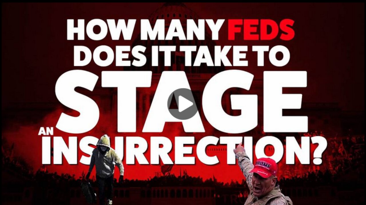 How Many FEDs Does It Take To Stage an Insurrection?