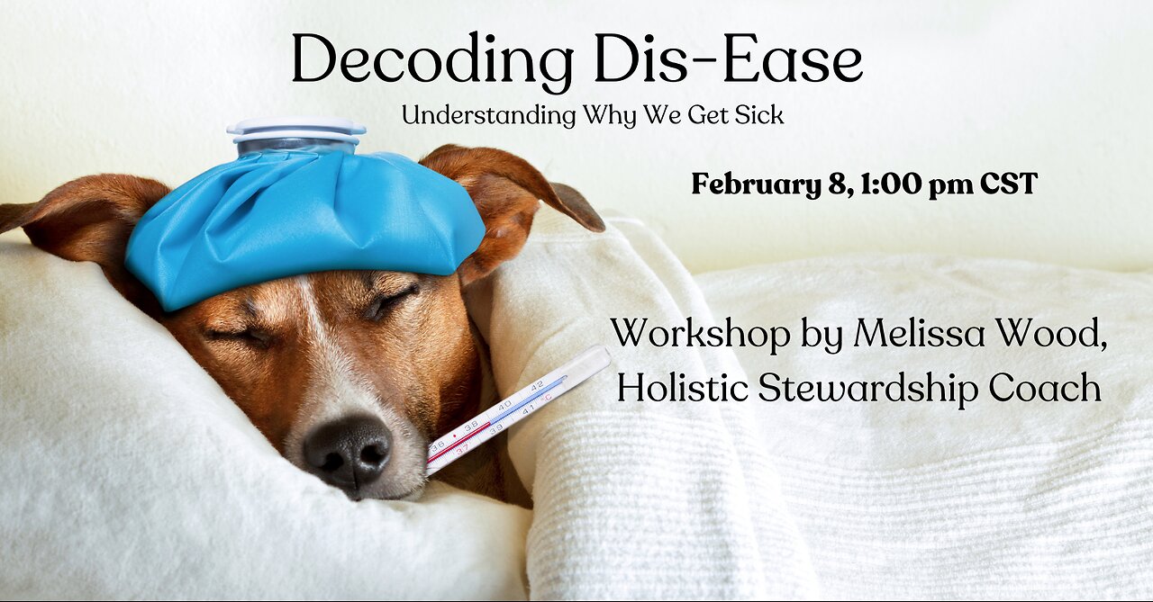 Decoding Dis-ease: Understanding Why We Get Sick