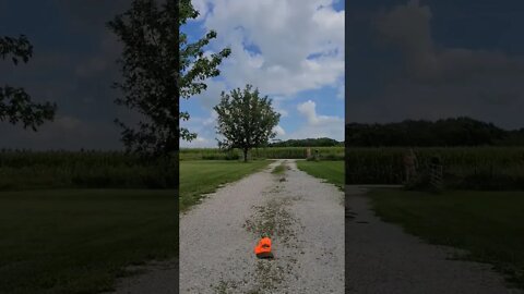 Nice final throw, Crazy 🤪 old man, 138 feet Discus