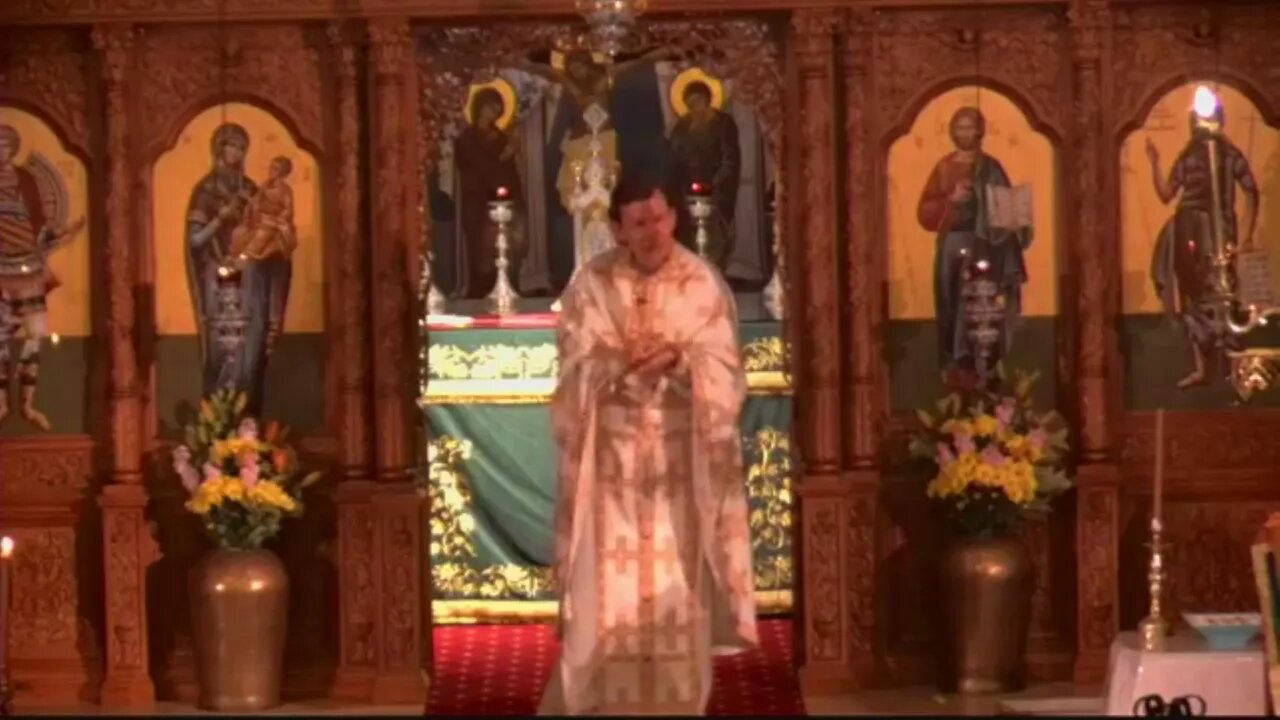 2020 Nov - The parable of the Good Samaritan - Fr Dimitri @ St George, Brisbane, Australia.