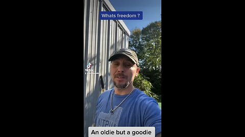 Orion Pax 84 what is freedom?