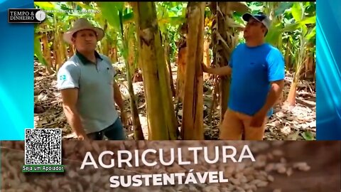 Bananicultores melhoram a produtividade com SH-24 da Lottus Biosolucões na adubação das lavouras