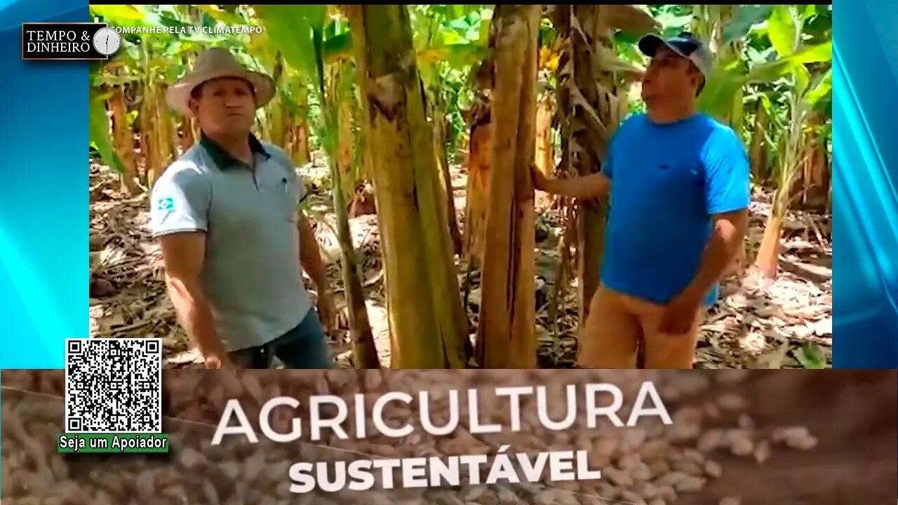 Bananicultores melhoram a produtividade com SH-24 da Lottus Biosolucões na adubação das lavouras