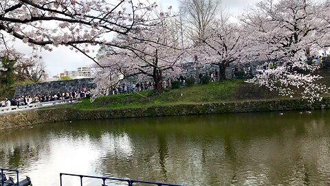 Fukuoka Ohori Park 1