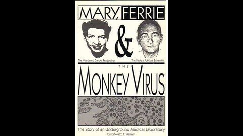 ~Mary Ferrie And The Monkey Virus~