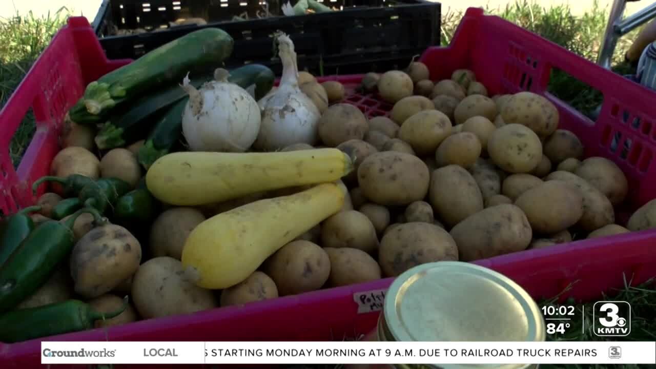 Omaha group distributes donations of fresh produce to those in need