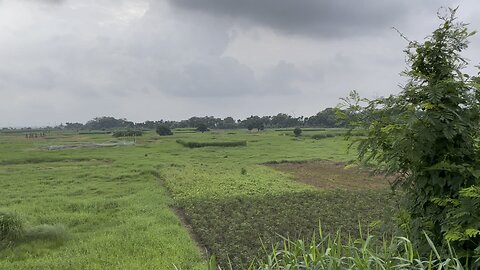 Beautiful nature