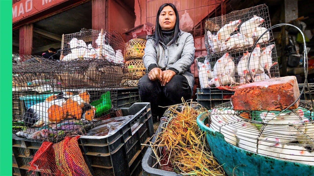 India's SCARIEST Meat Market!! Rats, Cats, Dogs and More in Nagaland!!