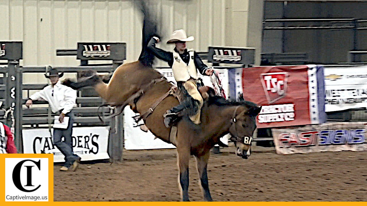 Bareback Bronc Riding - 2023 ABC Pro Rodeo | Saturday Matinee