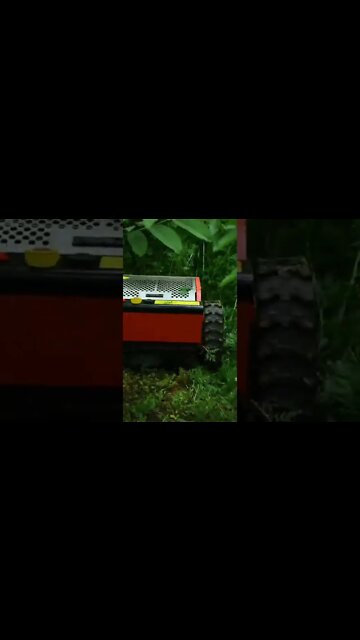 #shorts #2022 funny,prank,funjokes,dad jokes,funny memes,funny video,fun,laughing,funny animal,knock