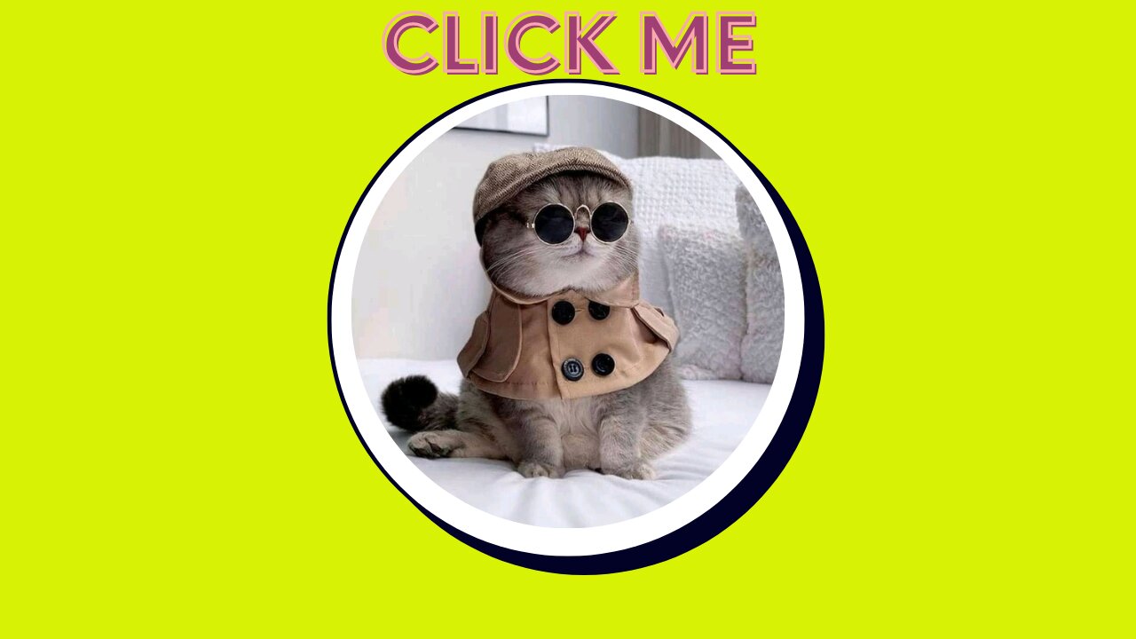 Funny Animal Shorts