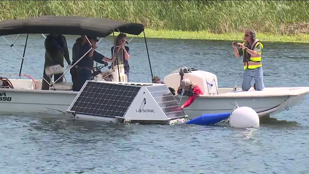 Tampa launches buoys aimed at reducing blue-green algae in Hillsborough River