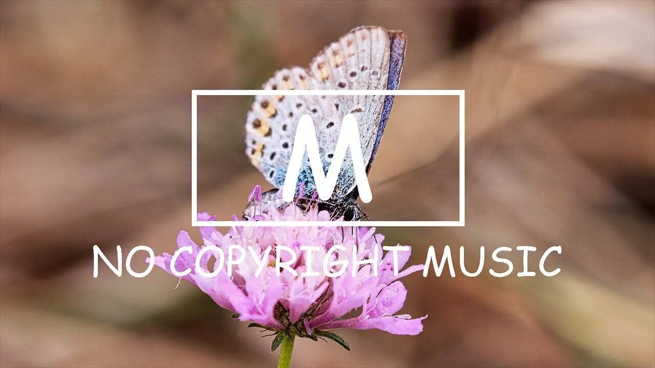 Markvard - Let me out(Mm No Copyright Music)