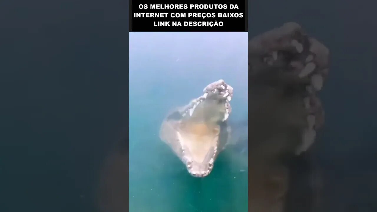 nem por 1 milhão de reais eu faria isso😱😱😱