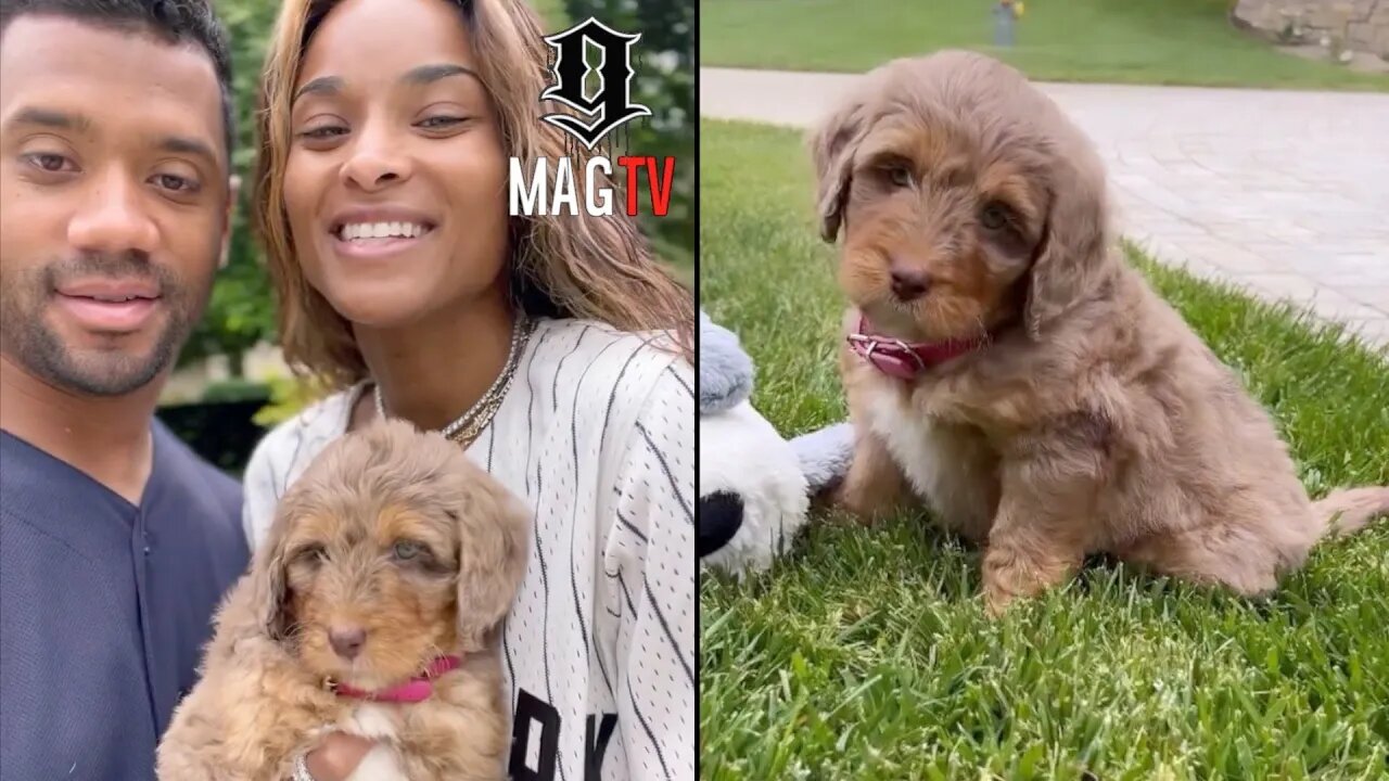 Russell & Ciara Receive Backlash For Buying A Bred Dog Instead Of Adopting! 🤷🏾‍♂️