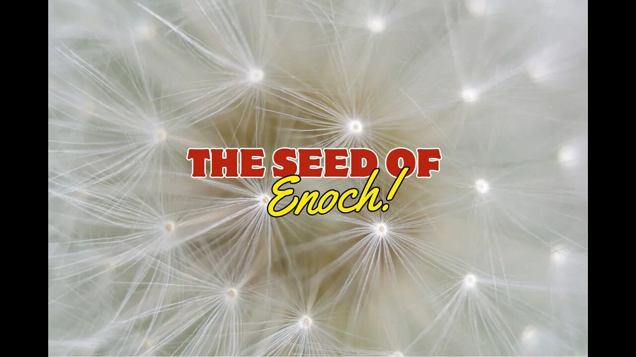 The Seed of Enoch I