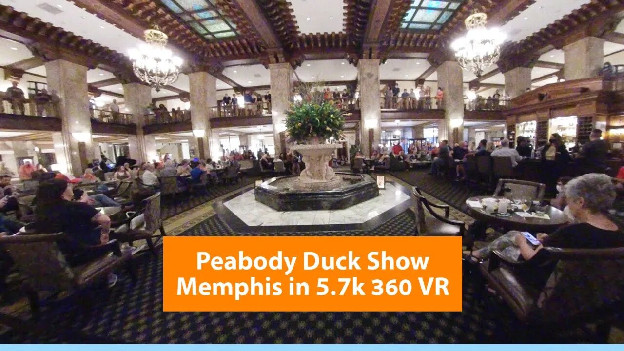 Peabody Ducks Memphis & Memphis Rive Park Virtual Experience || 360 VR Video in 5.7K