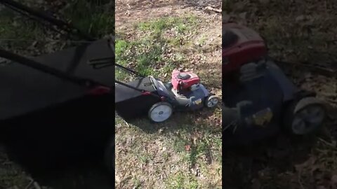Bramble Patch vs Lawnmower